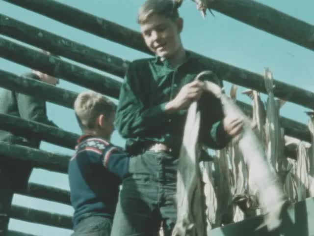 Incredible Iceland (1967)