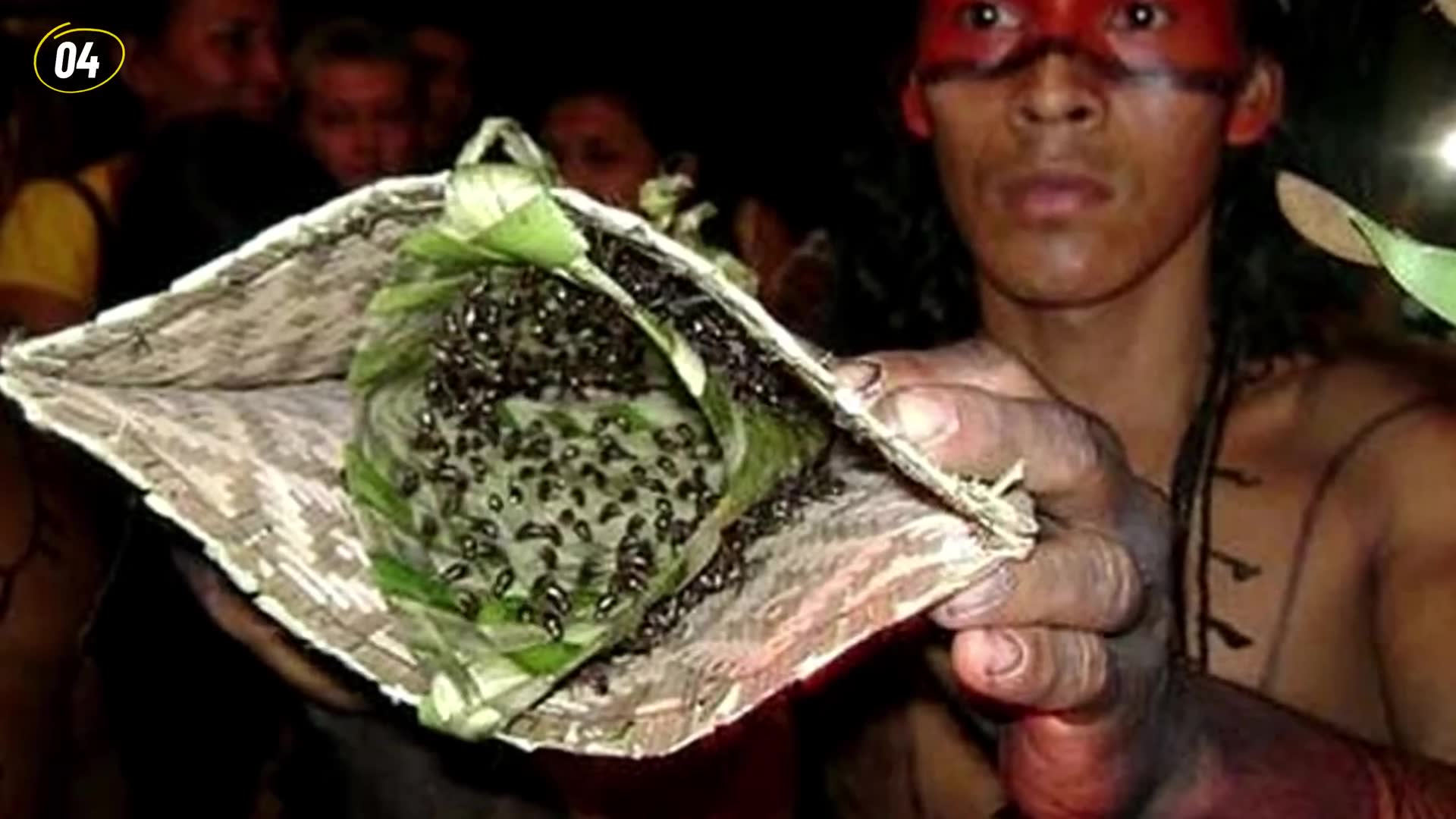Indigenous groups possessing skills modern society has completely lost