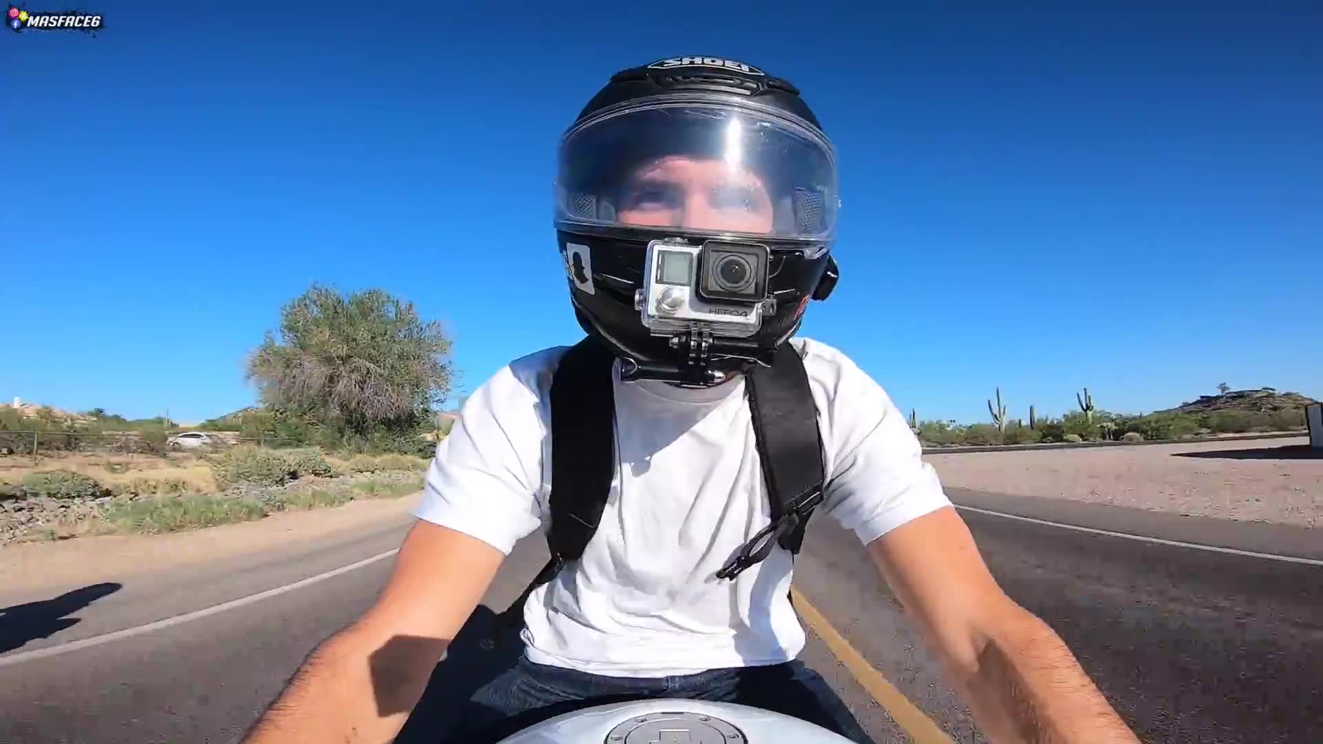 Massive spider spotted crawling across street during desert motorcycle ride
