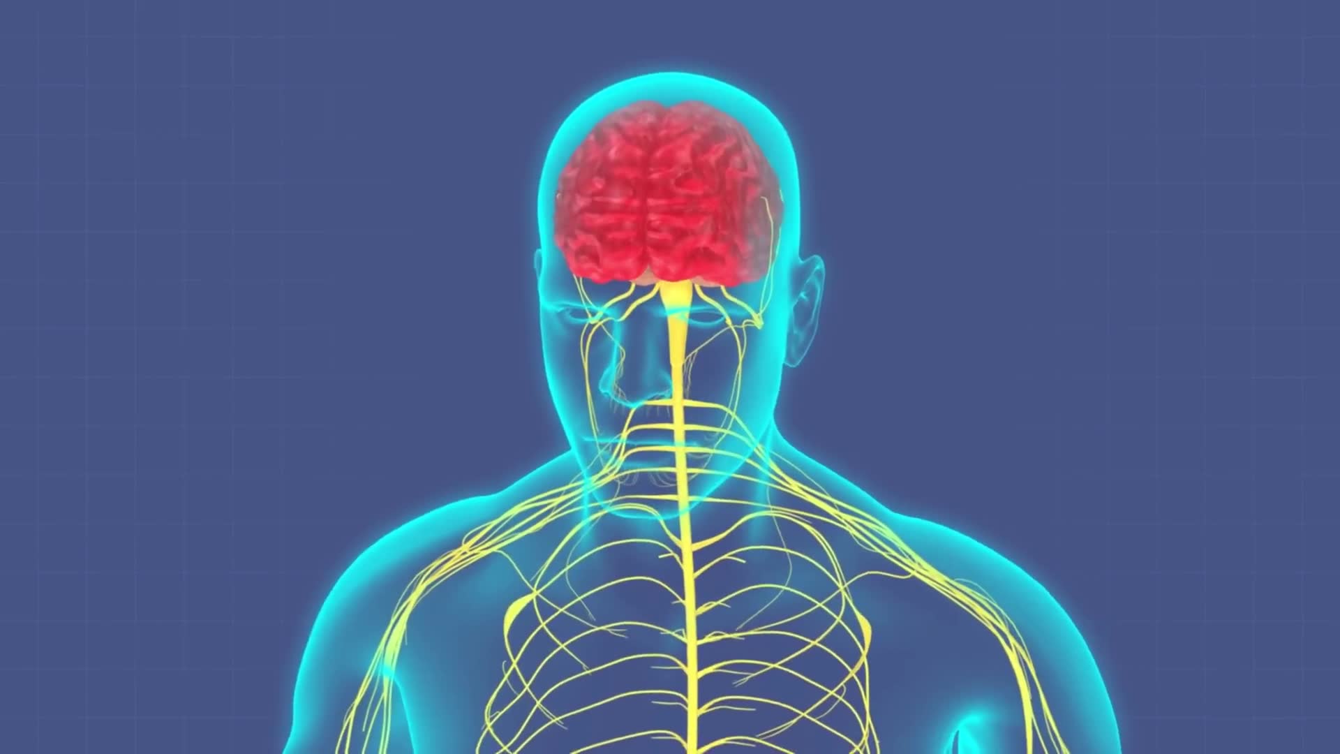 Your anatomy doing things you never realized were happening
