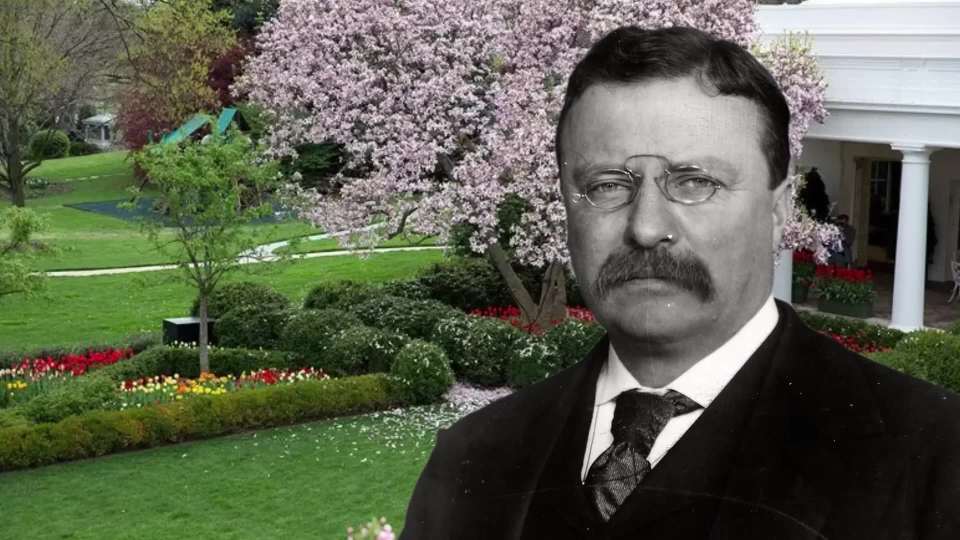 Bizarre behaviors and habits of America's commanders-in-chief