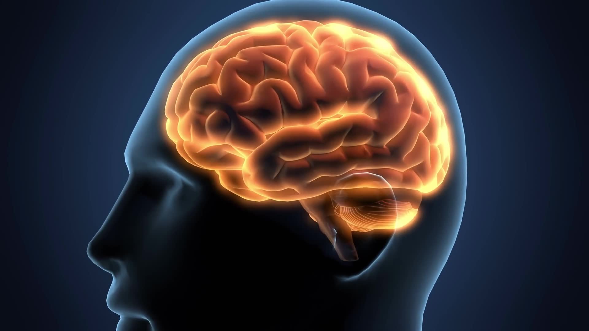 Neuroscience revealing your mind works nothing like you thought