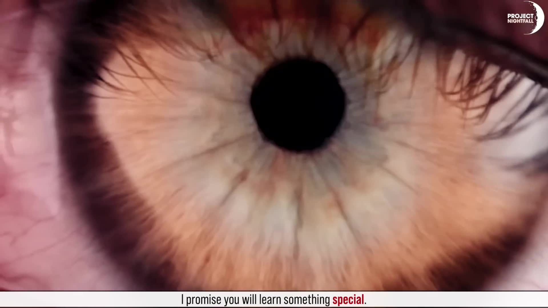 What watching porn actually does to our brain according to neuroscience