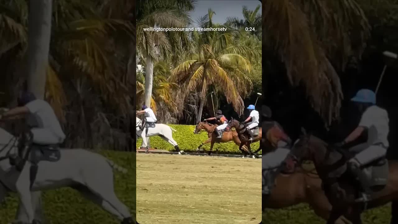 @elbiceps 💥 @chetan.krishna.1@dracaryspoloteam 👉 #goal 🔥 YLVISAKER CUP 2026
