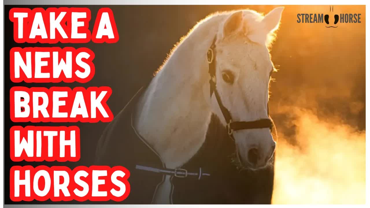 STOP! Recharge From the News Like the Fire Horse 🔥 10 Minutes to Reset Your Horsepower