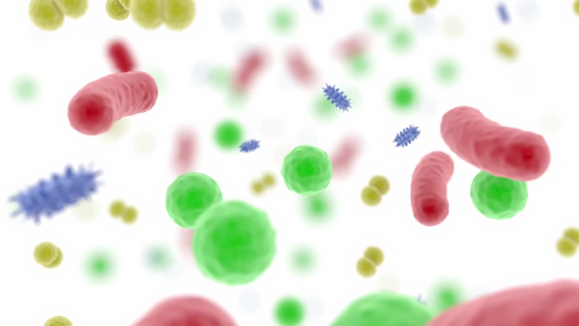 Scientific evidence for beneficial bacteria and gut-supporting foods