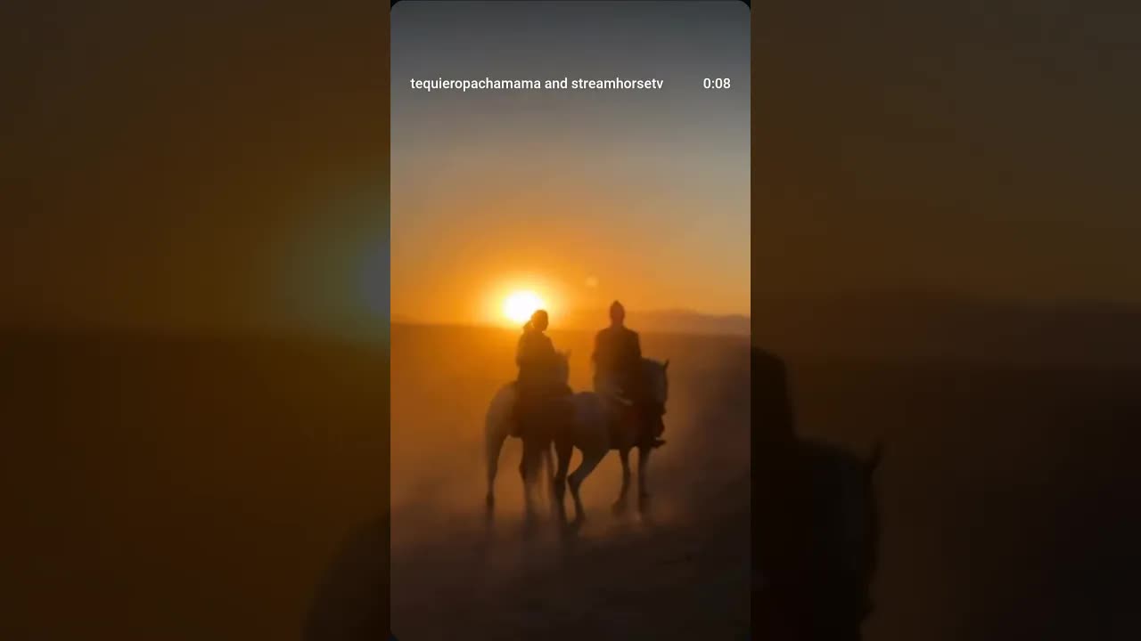 Welcome to Hurgada 🇪🇬🐴❤️