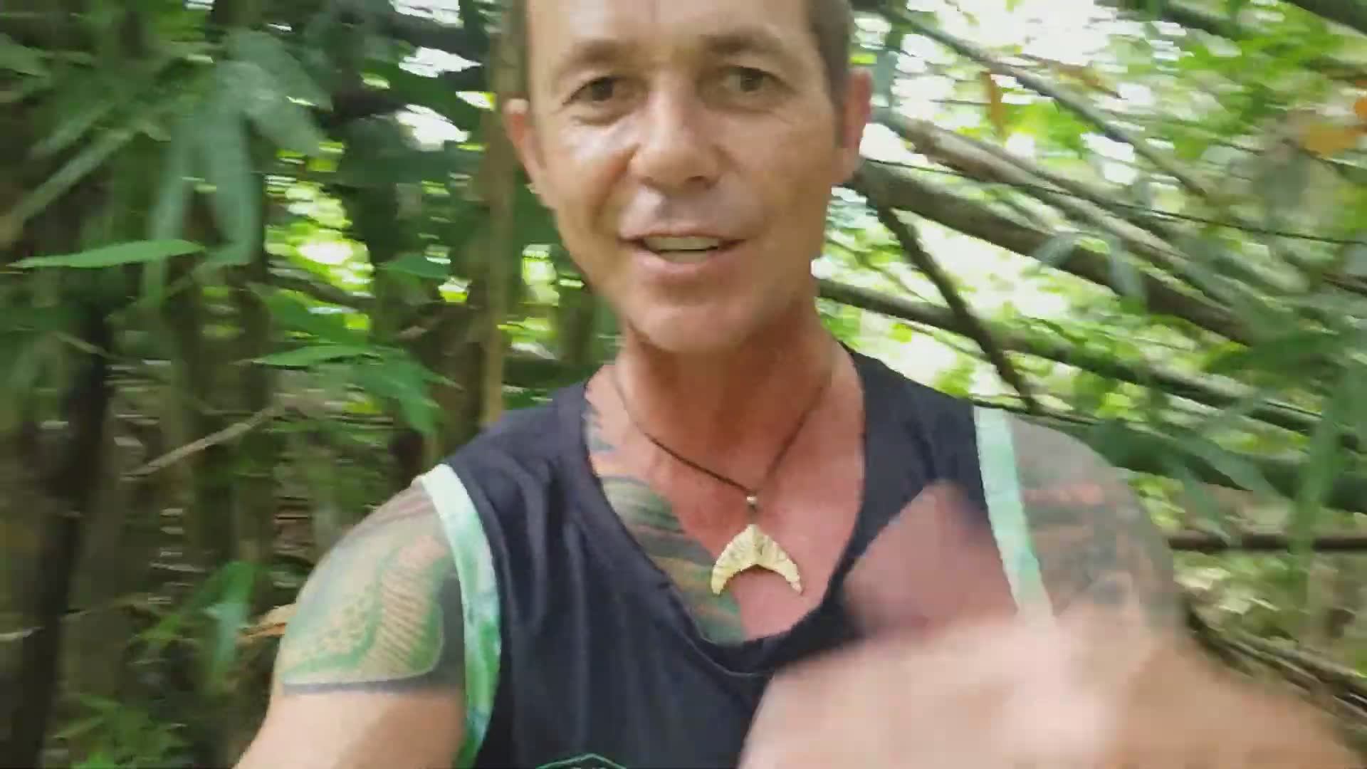 Finding and documenting wild king cobra breeding nest filled with eggs