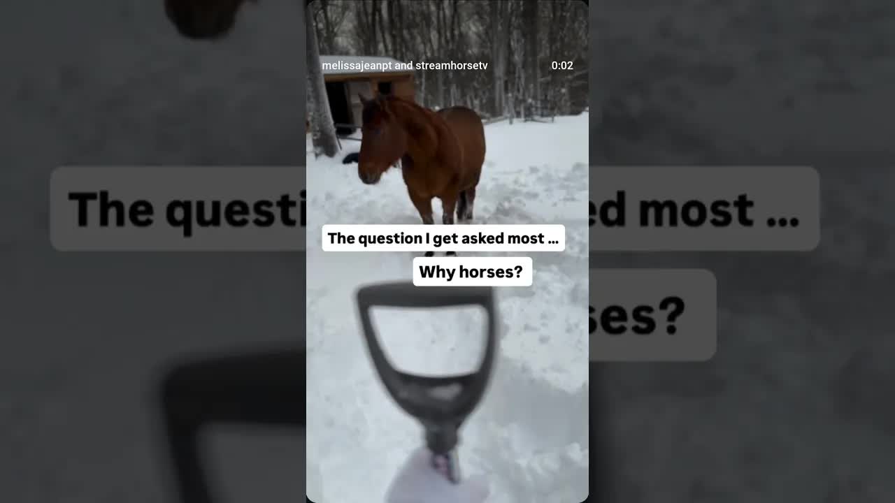 Here’s the truth—horses don’t lie.They don’t perform. They don’t people-please.