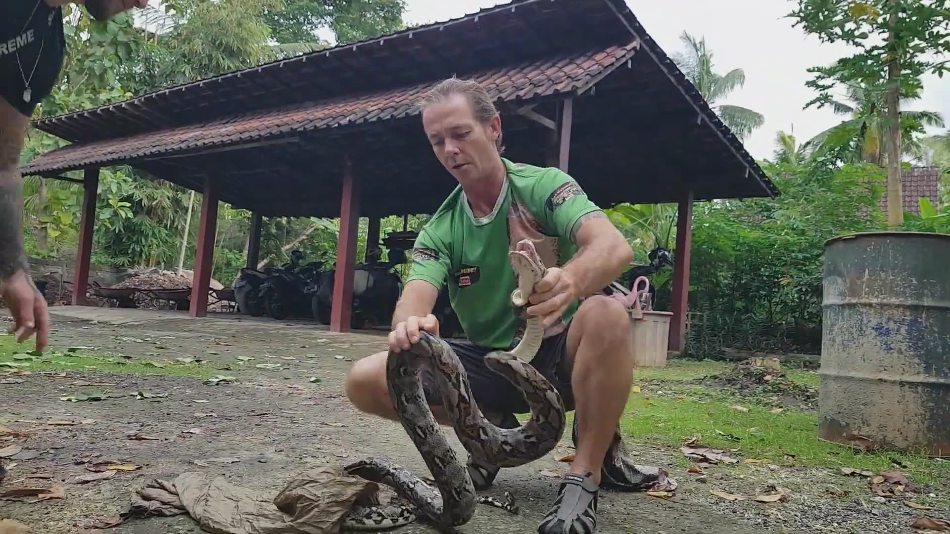 Multiple encounters with large aggressive snakes that refuse to back down