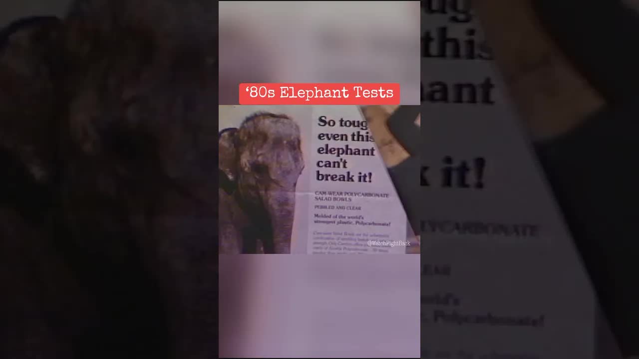 ‘80s Elephant Tests