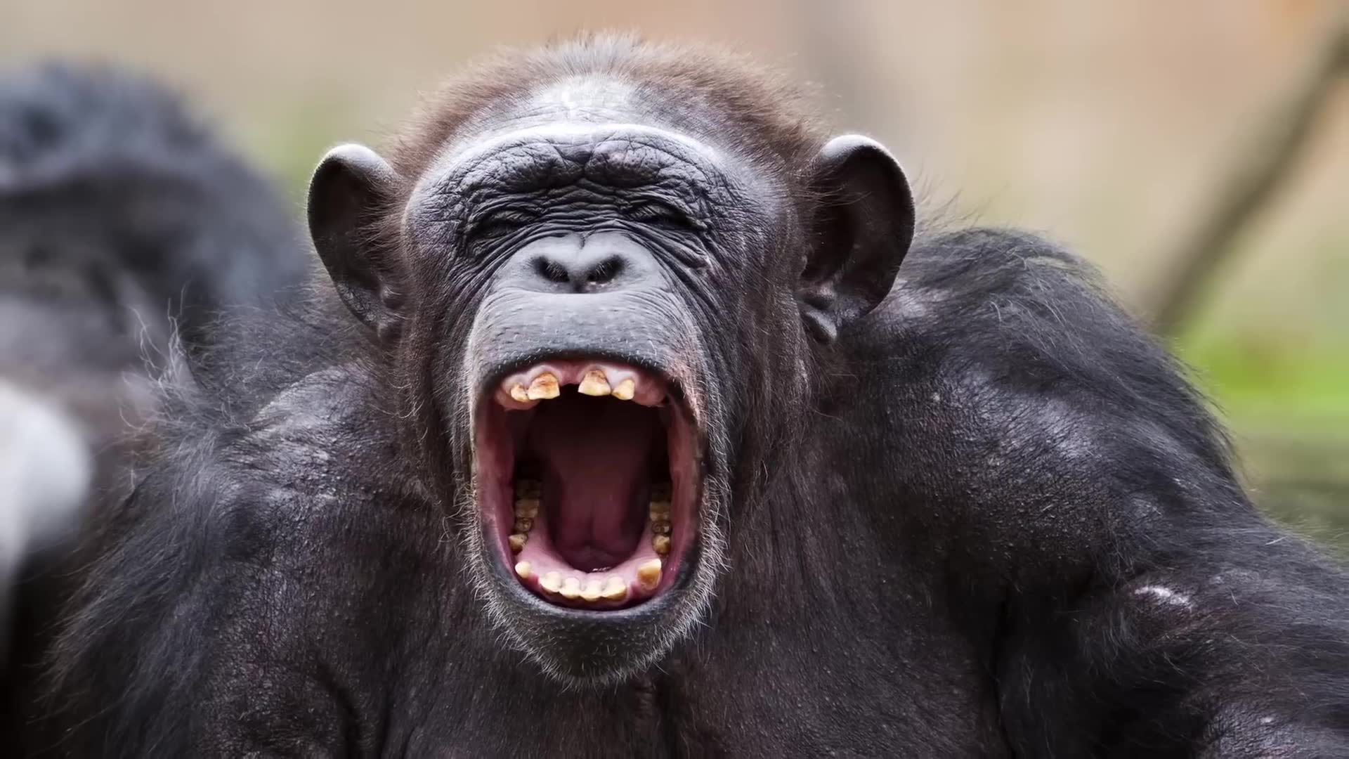 Extremely disturbing facts that most people have never even heard of
