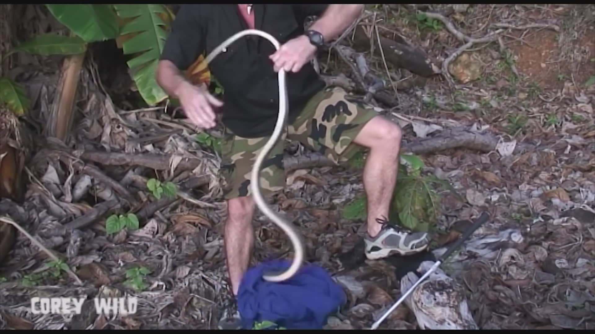 Emergency snake rescue after a serpent was found hiding inside a Thai resort room
