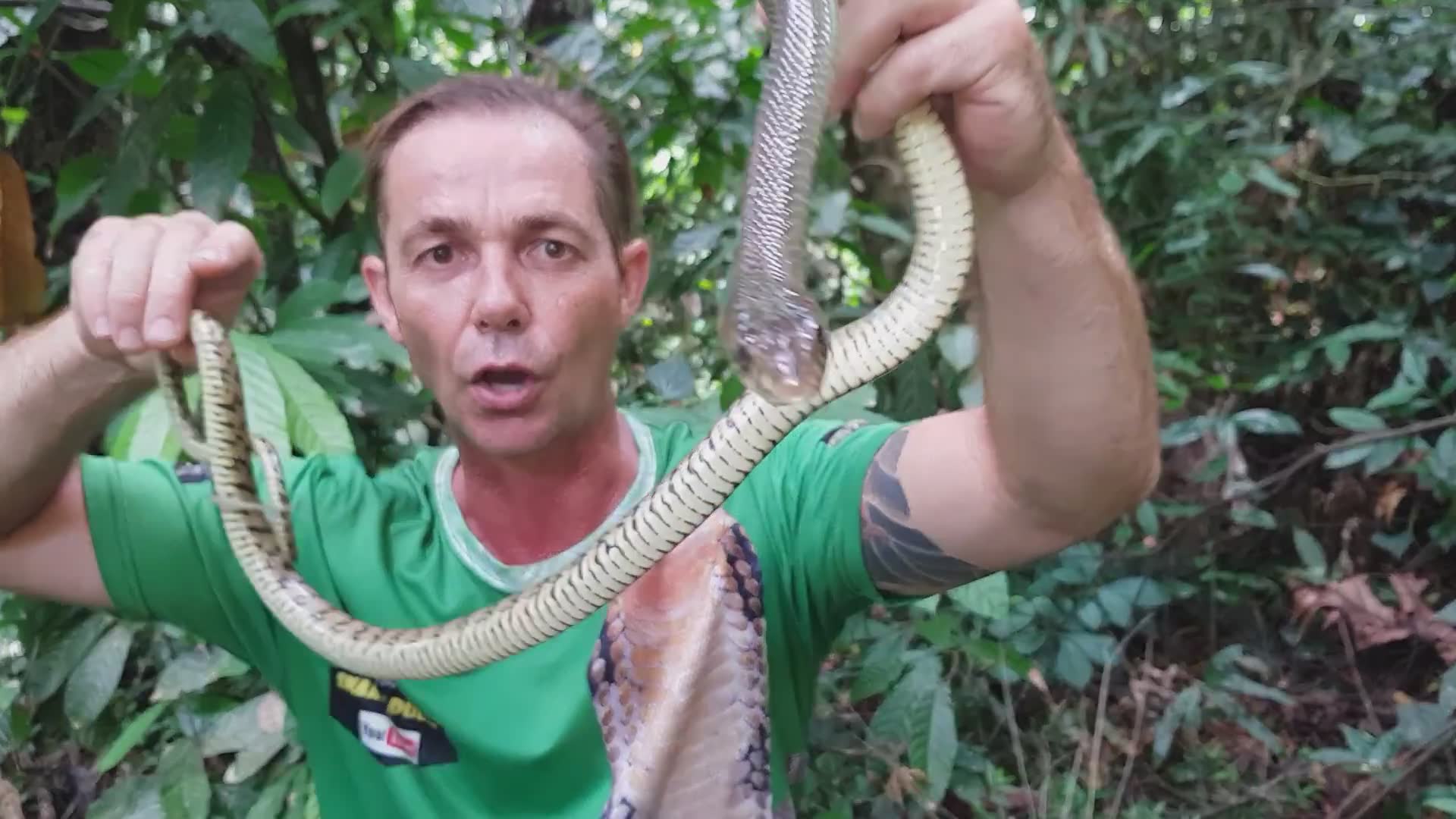 Heading deep into the wilderness on an adventure to find wild snakes and reptiles