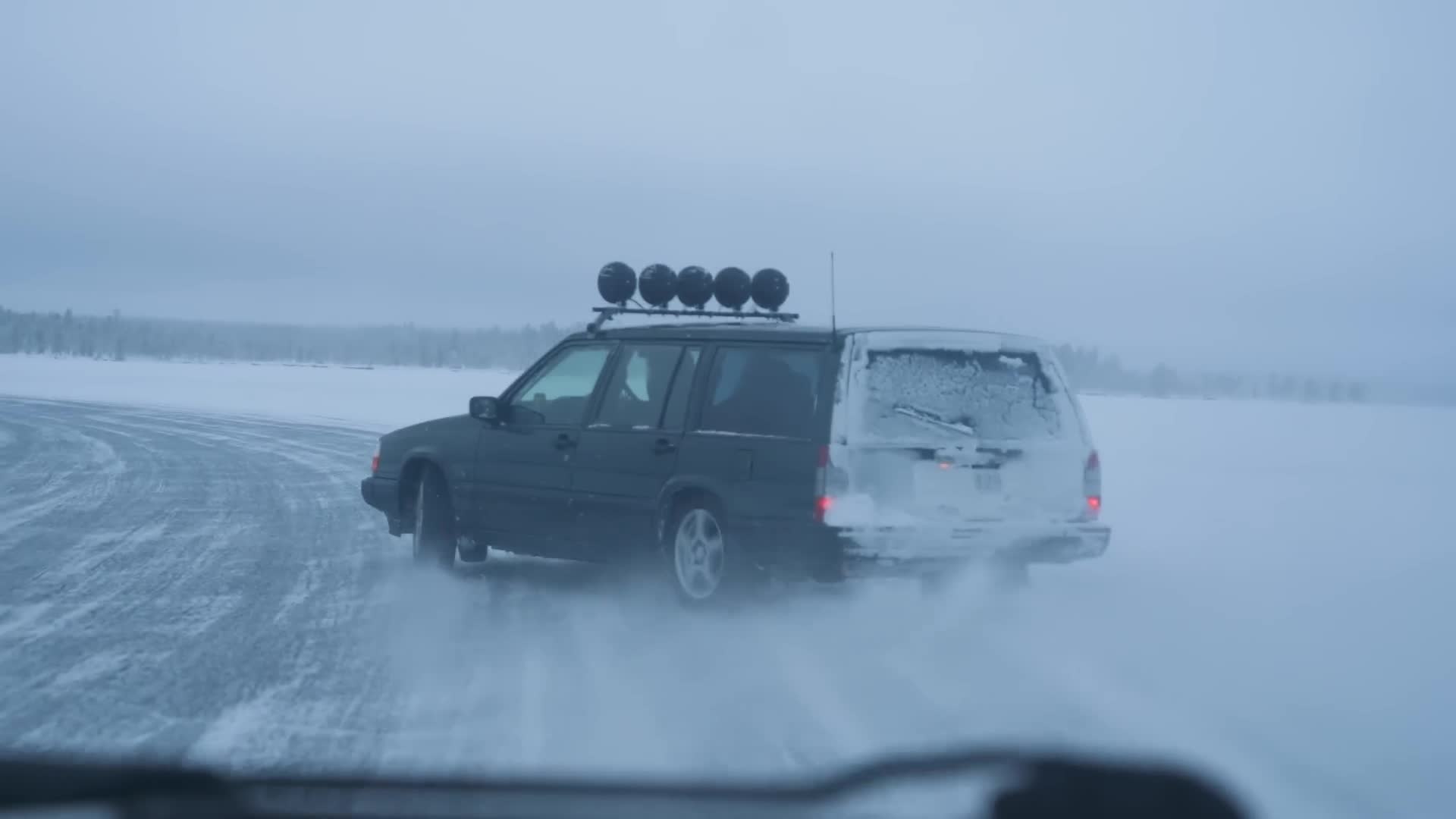 Ikoniske kåre svæsaspær dukker plutselig opp uten forvarsel