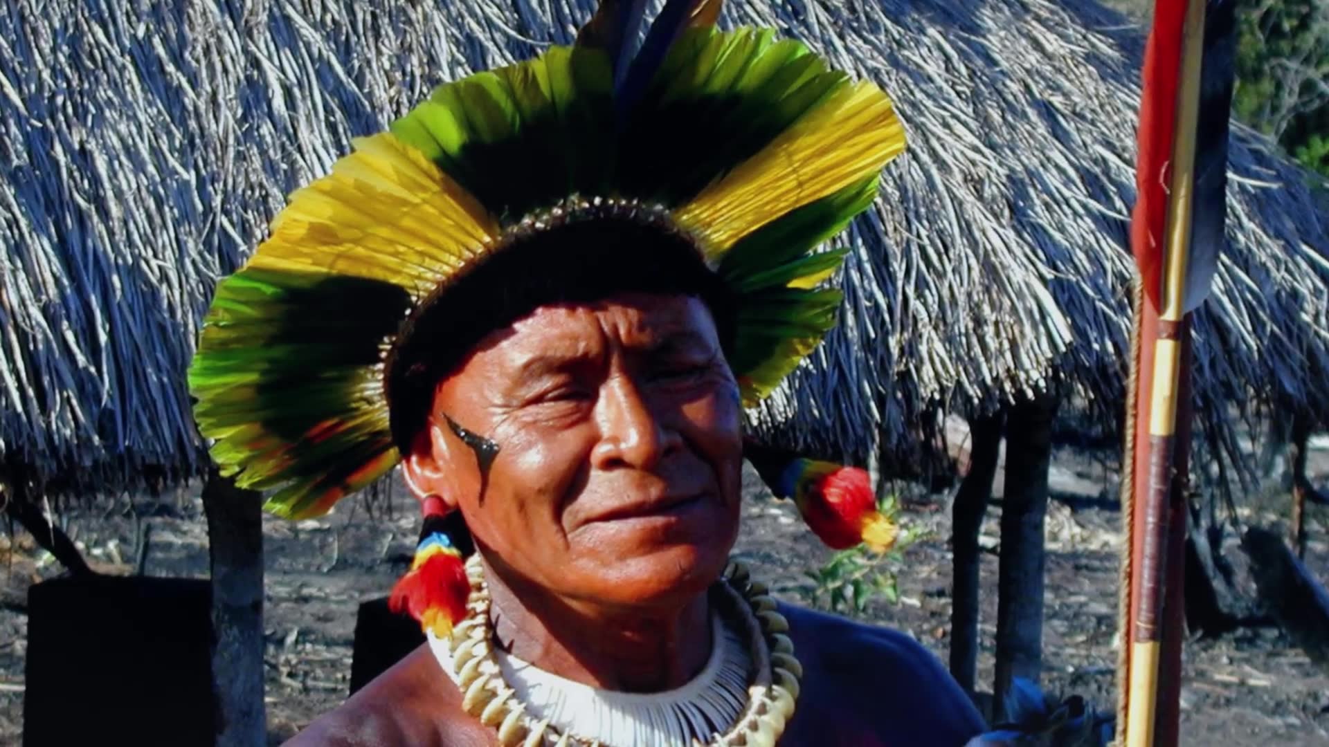 Oddly interesting facts that will stick in your head and make you wonder