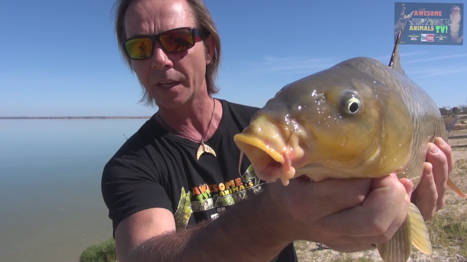 Fishing for carp and preparing fresh bush-style sushi with wild Australian ingredients