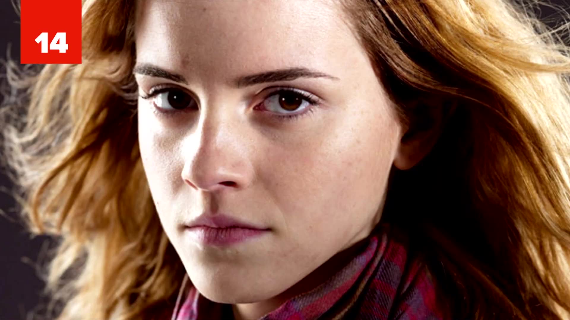 Wizarding world fan theories so convincing they might change how you see it