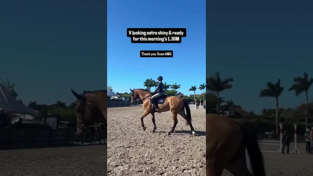 ✨✨✨✨✨🐎🐎🐎🐎🐎