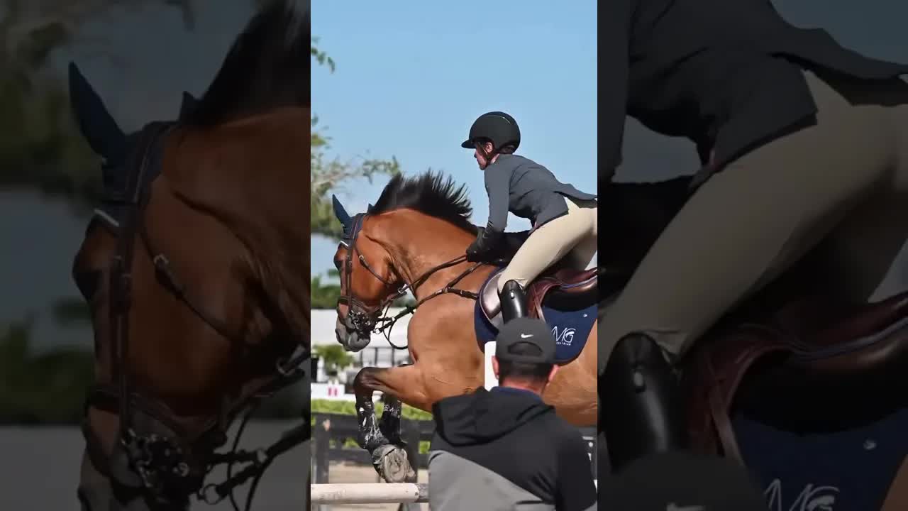 Warming up Valdes 🐎