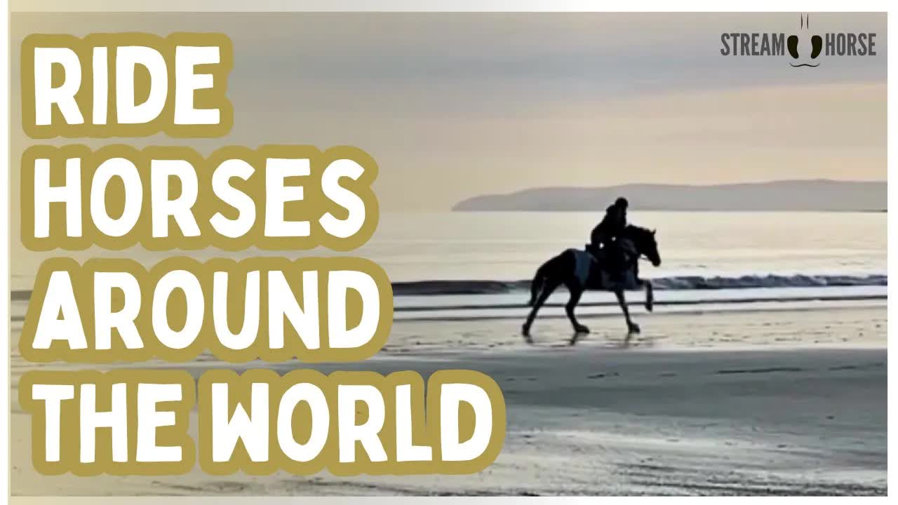 Ride with Horses Across the World — From Coastlines to Mountain Trails 🐎🌎