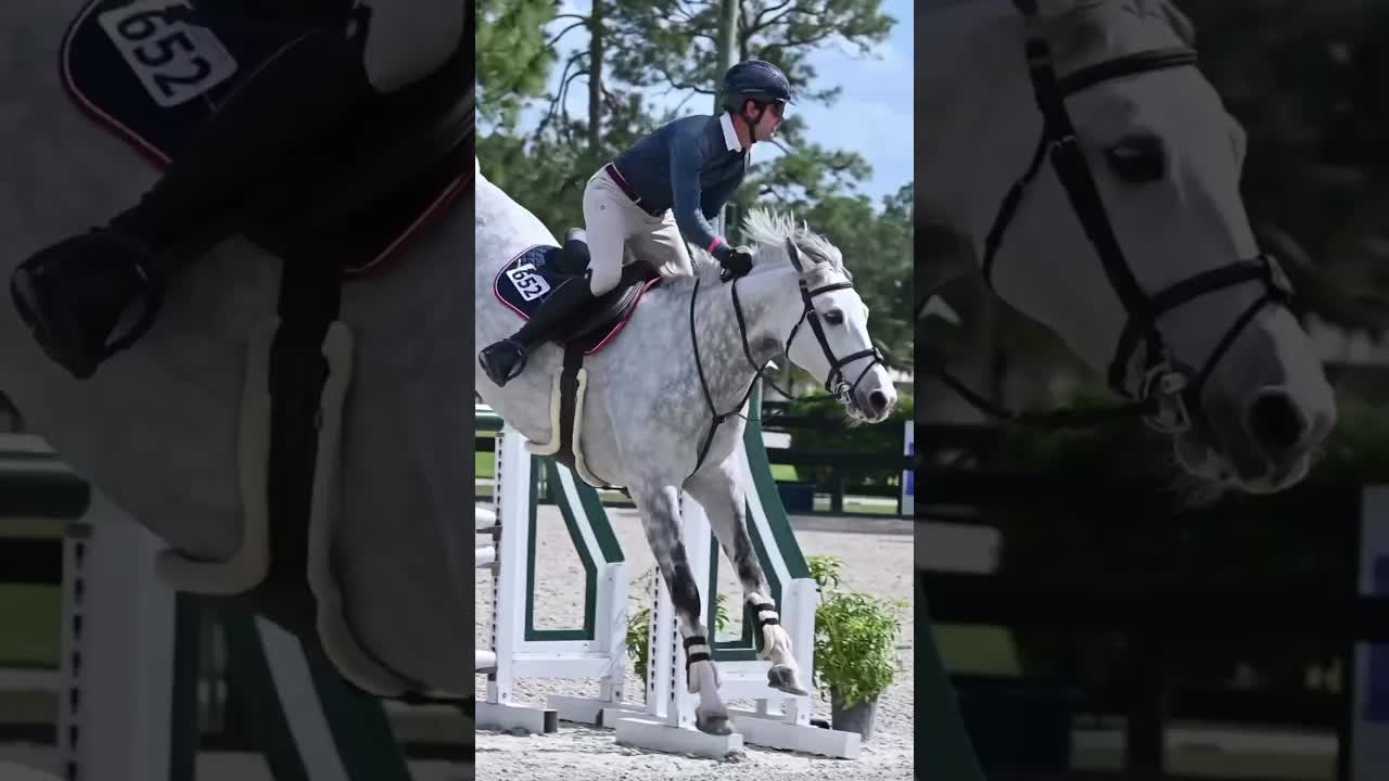 Whewwwww 😮‍💨😮‍💨🦄 that was fast ⚡️ “Lightning Luis” as he was dubbed post jump-off