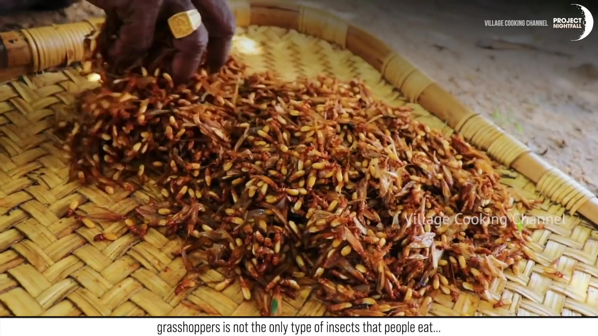 The surprising nutritional, environmental, and cultural reasons why billions of people regularly consume bugs as food