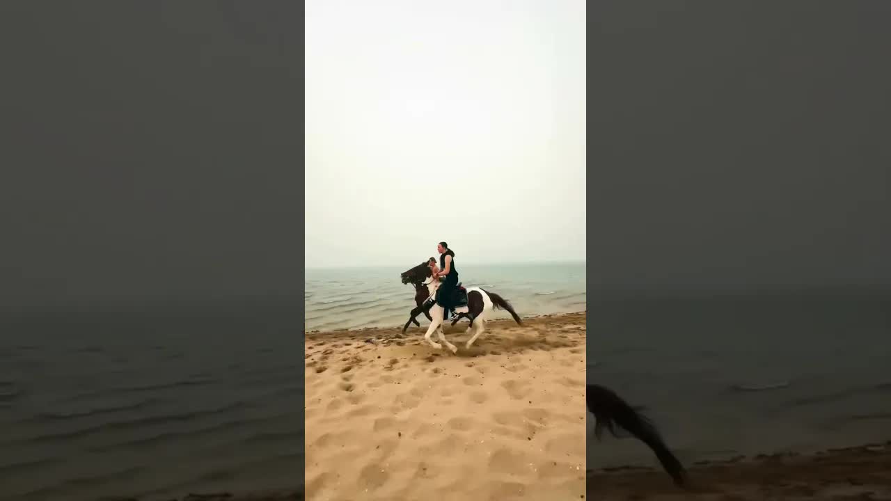 On the beach... Me and the horses 🐎🌊 Unparalleled freedom 🔥✨