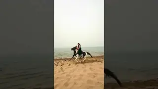 On the beach... Me and the horses 🐎🌊 Unparalleled freedom 🔥✨