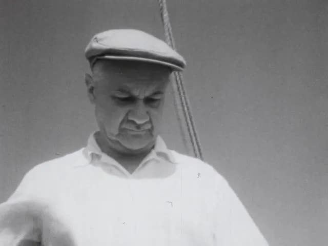 [Dr Vishniac's Microscopic World, 1950s]