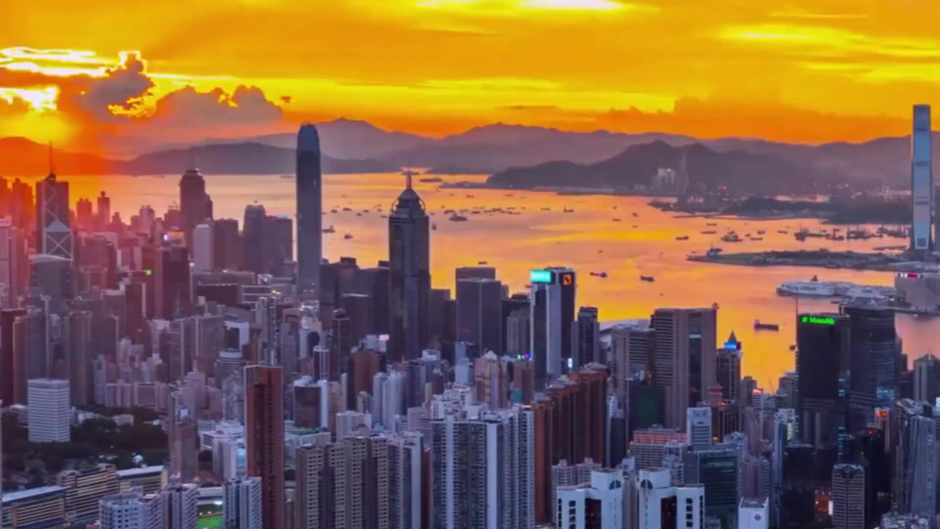 Collapse of international norms reshapes investment framework