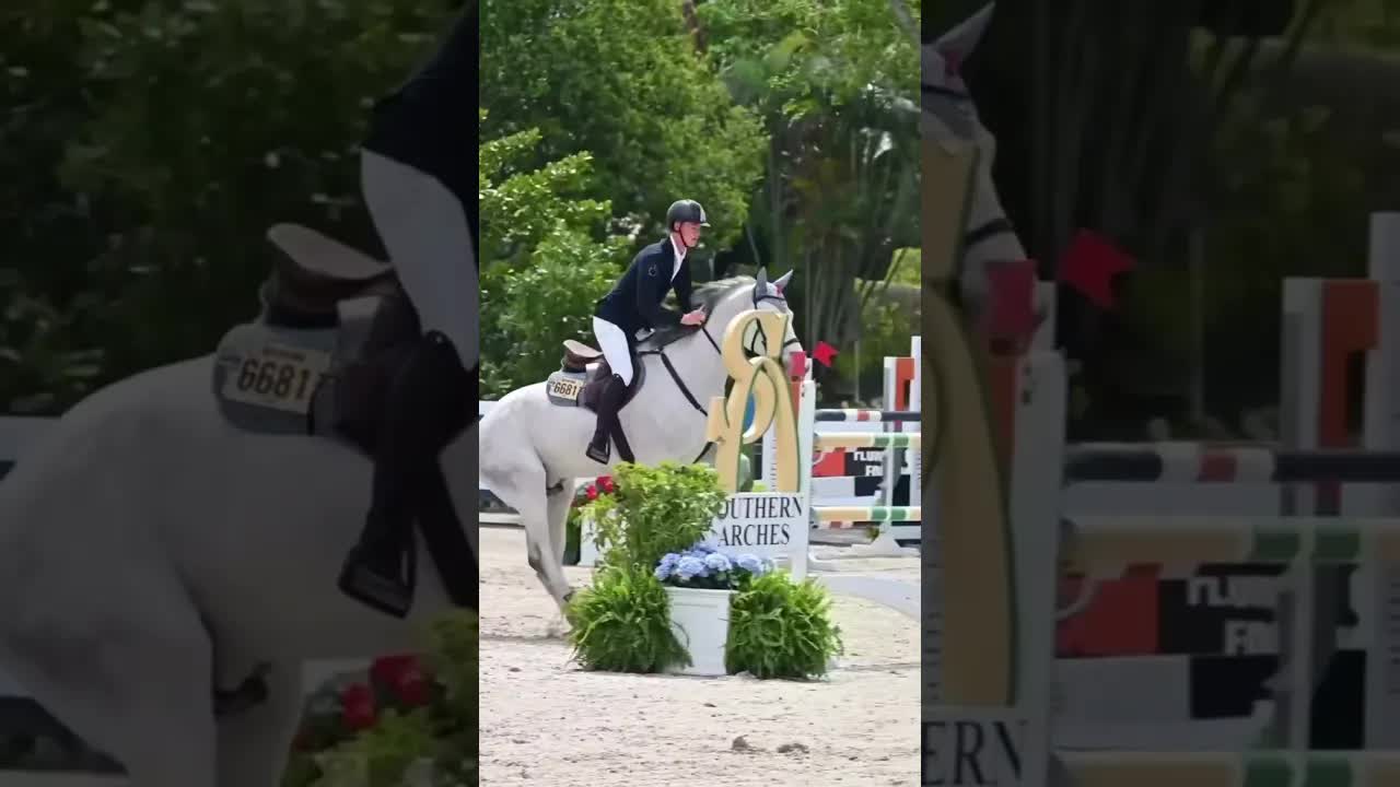 FireHorse My Cadillac Jack 🦄 and Loke Kreigel go clear in the 1.40M Speed Round #WEF11 🔥🐎🛡️