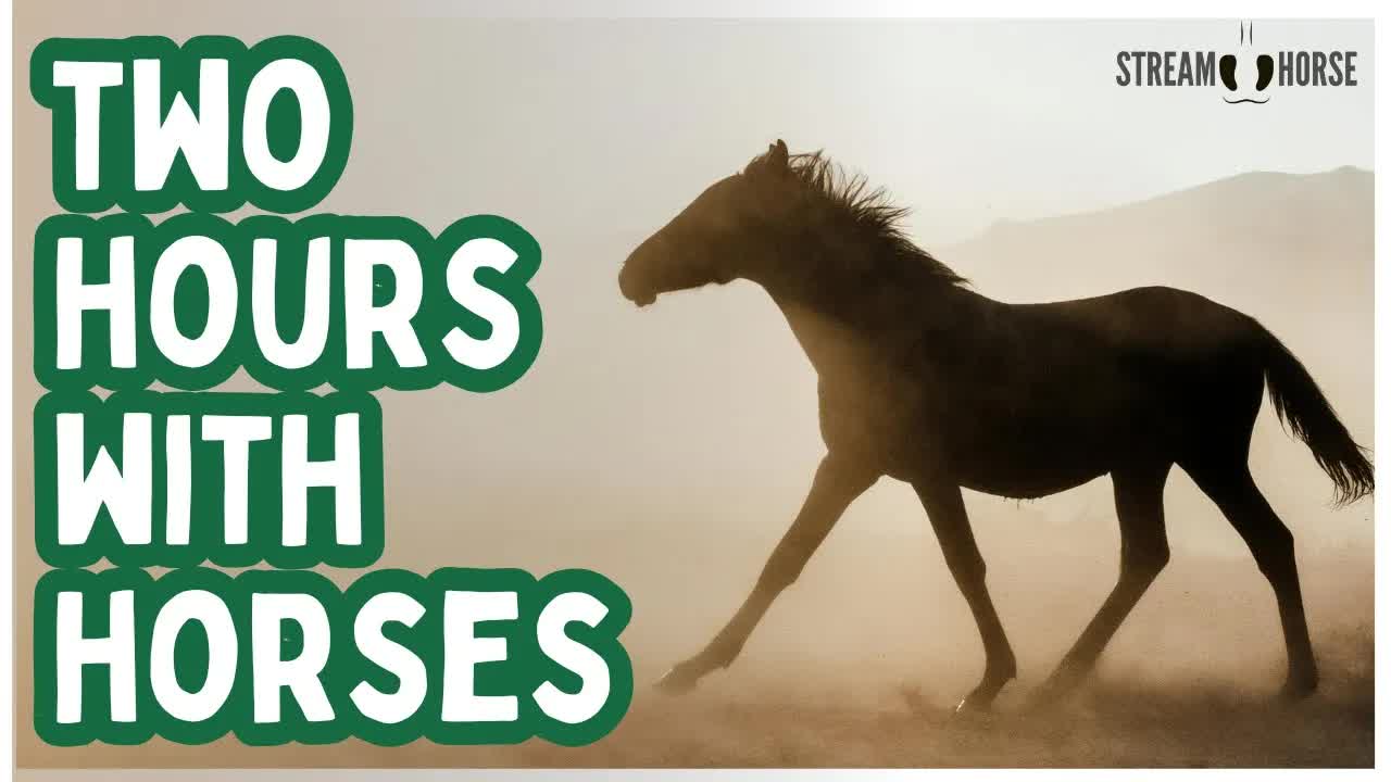 2 Hours of Horse Therapy in Nature 🐎🌸 Calm, Comfort & Emotional Reset