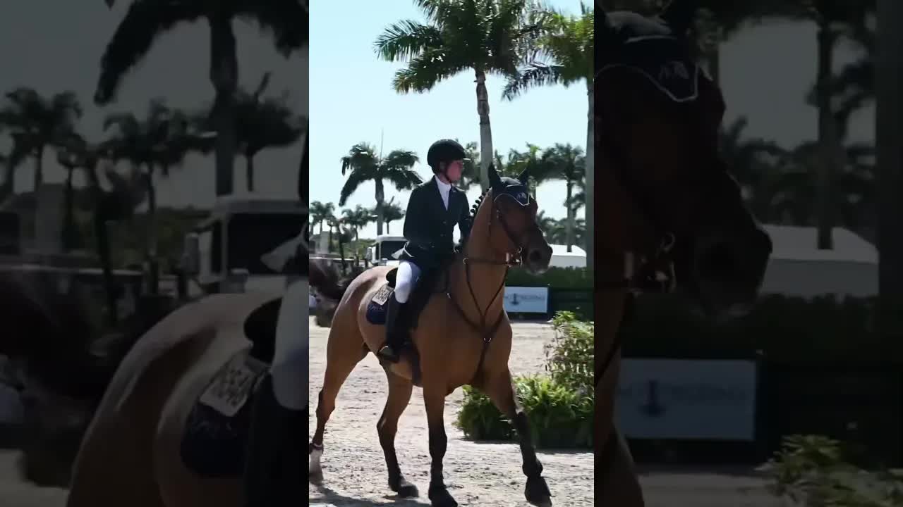 Just one down in the last element of the triple ⛵️