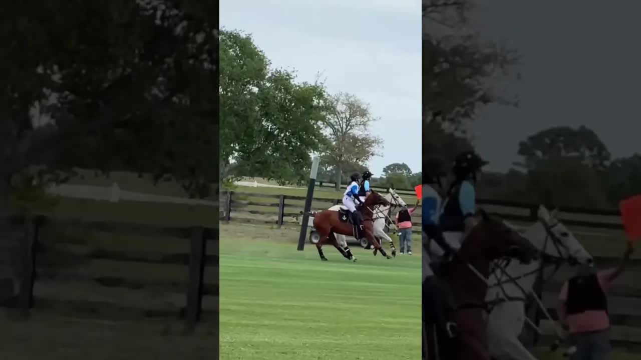 🦈 SHARKNADO 🌪️ #goal @summerkneece 💥 @j.davis417 🌸 Tabebuia Cup 2026 🌸