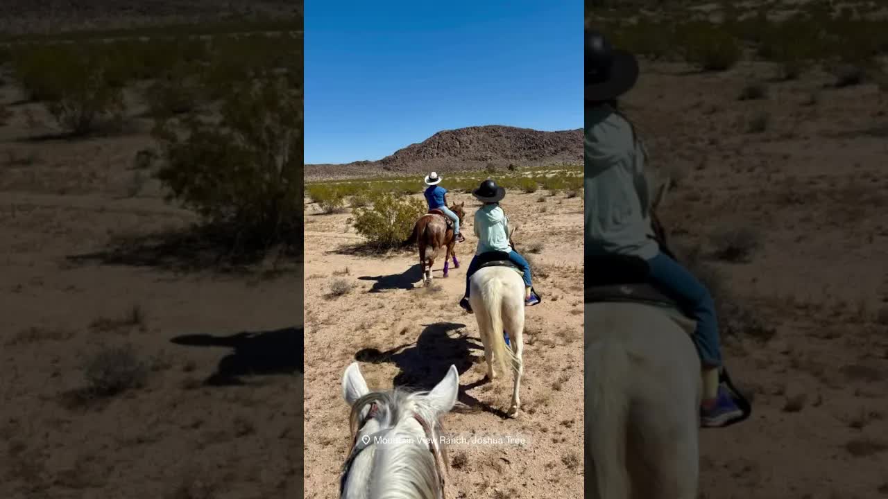 🐴🏜️ Advanced Joshua Tree Trail Ride to Transmission! 🏜️🐴