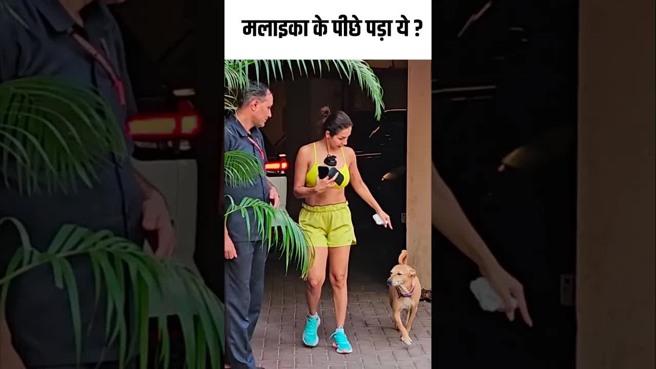 मलाइका के पीछे पड़ा ये ? #youtubeshorts ##bollywood
