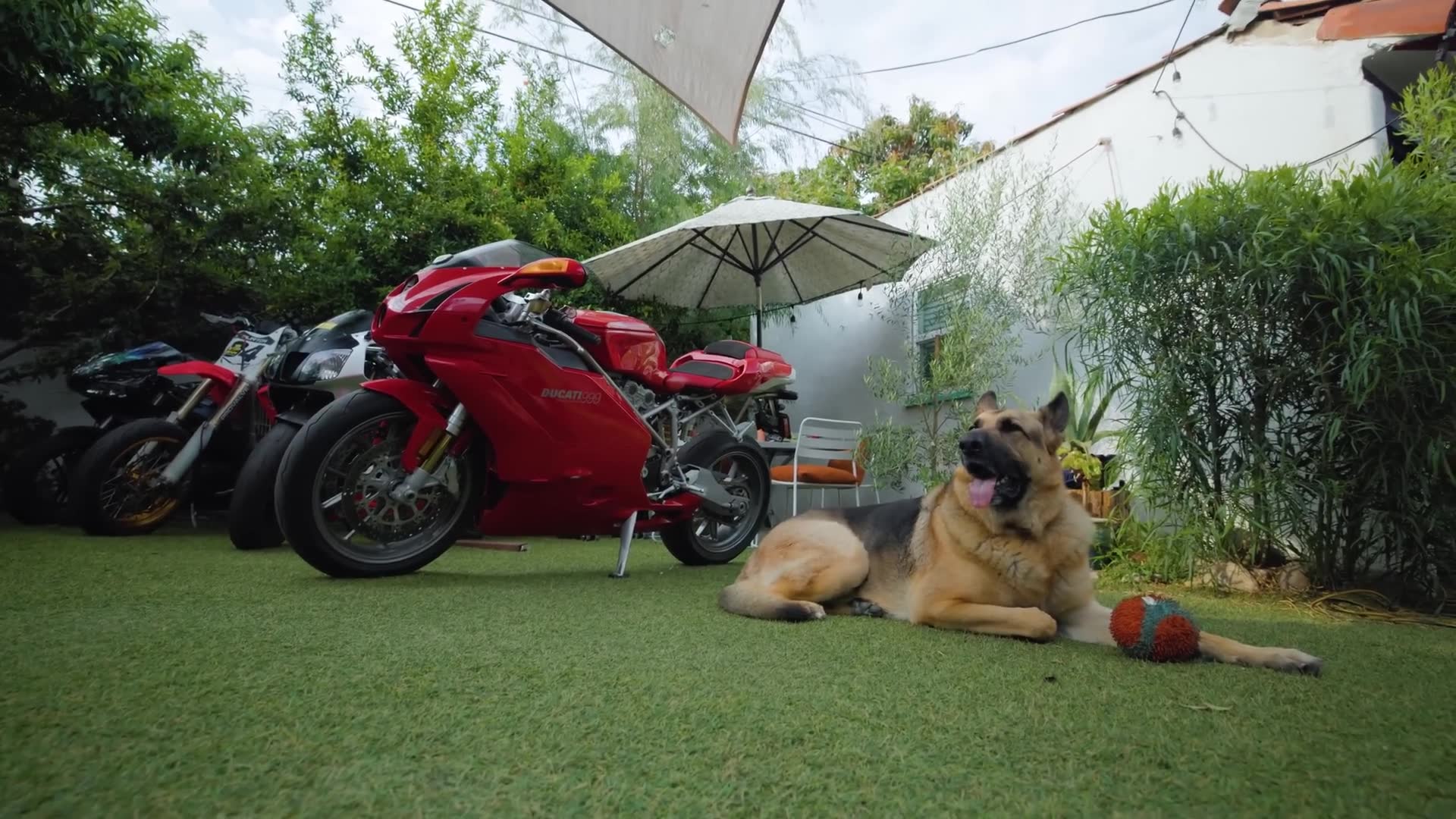 Beginner's guide to smart first bike purchases