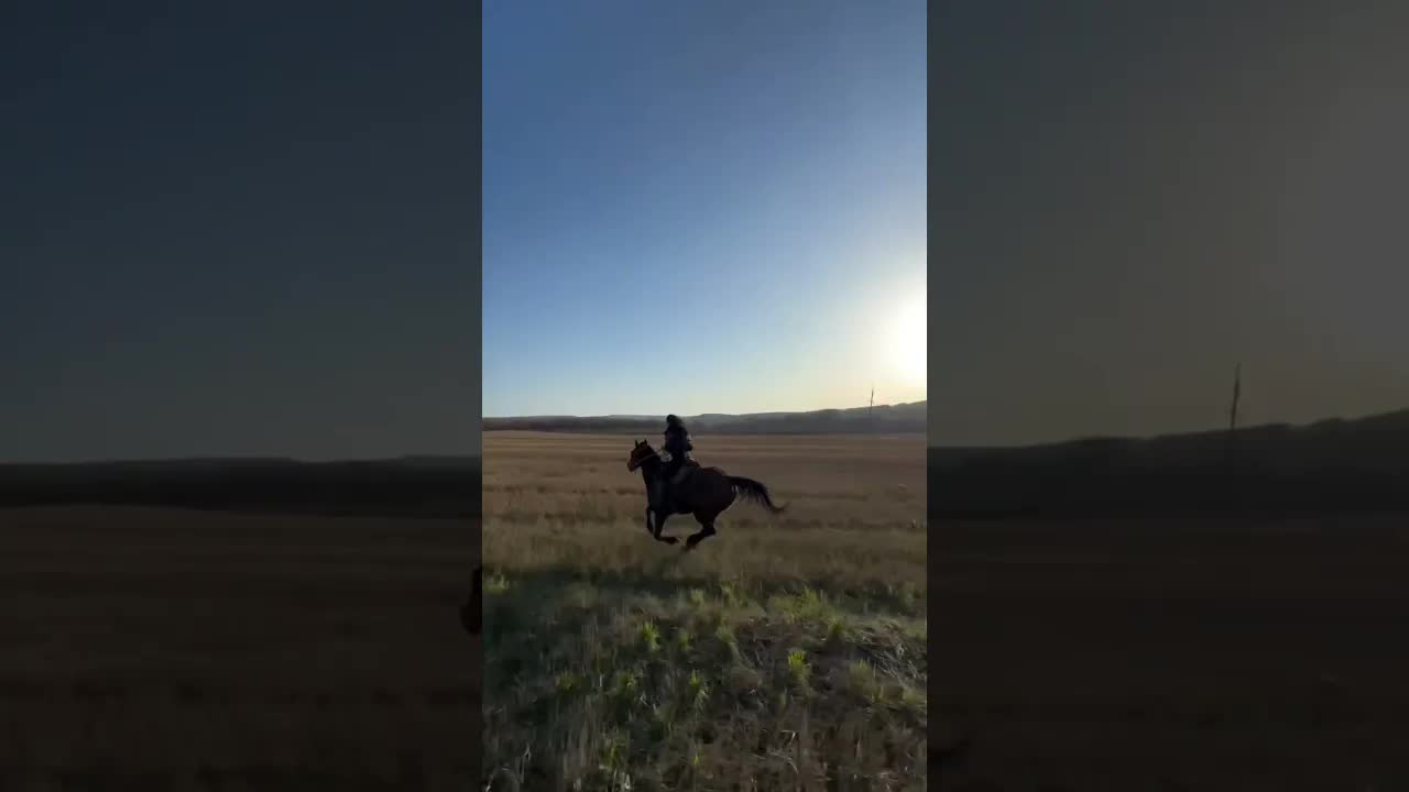 POV: you found a place where you feel free 🐎🌾