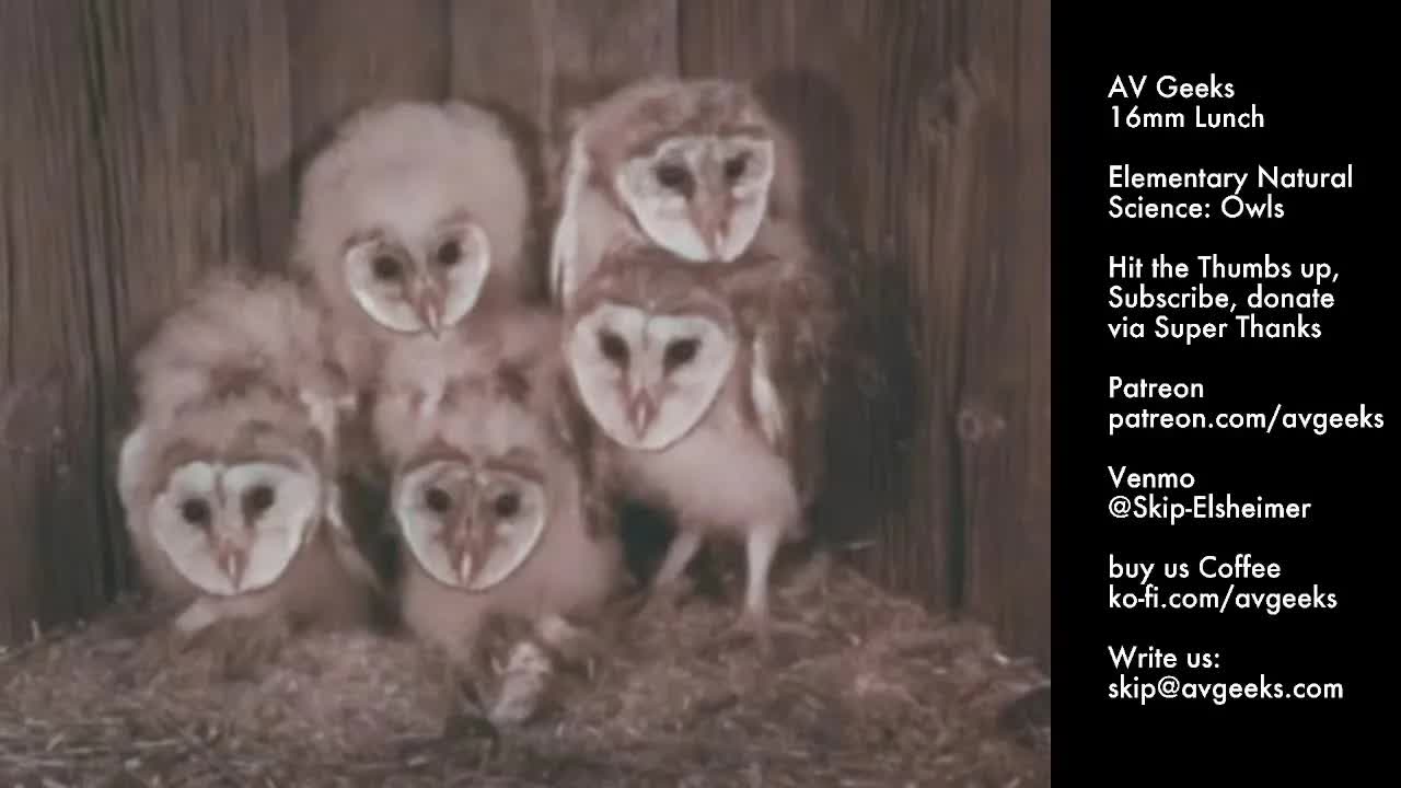 A/V Geeks 16mm Lunch 3-27-2026