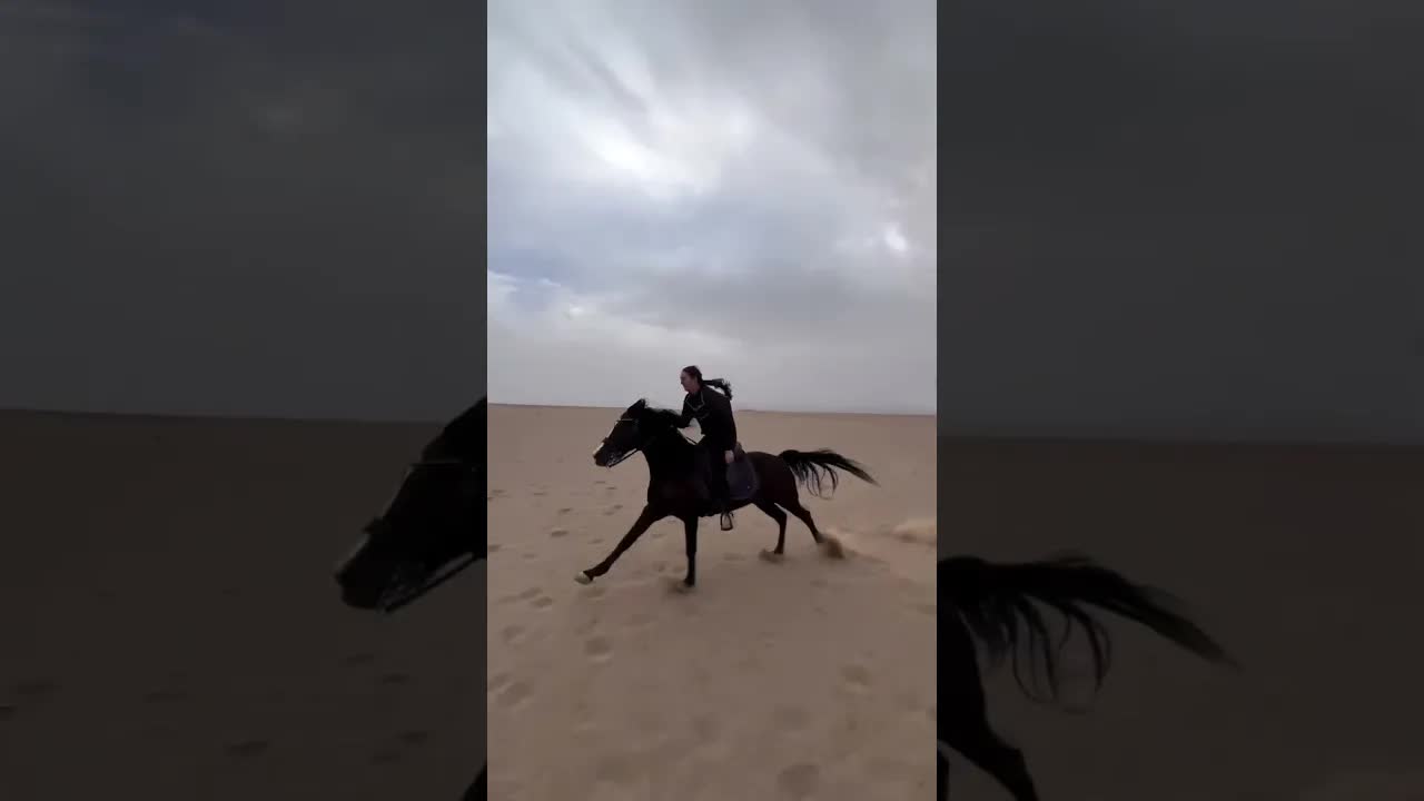 Yallah binaaaa… we ride in Hurghada 🔥📍 Hurghada with Ride to Live Stables 🇪🇬