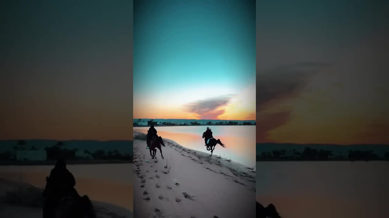 Galloping together along a remote, beautiful beach in El Gouna 🌅✨