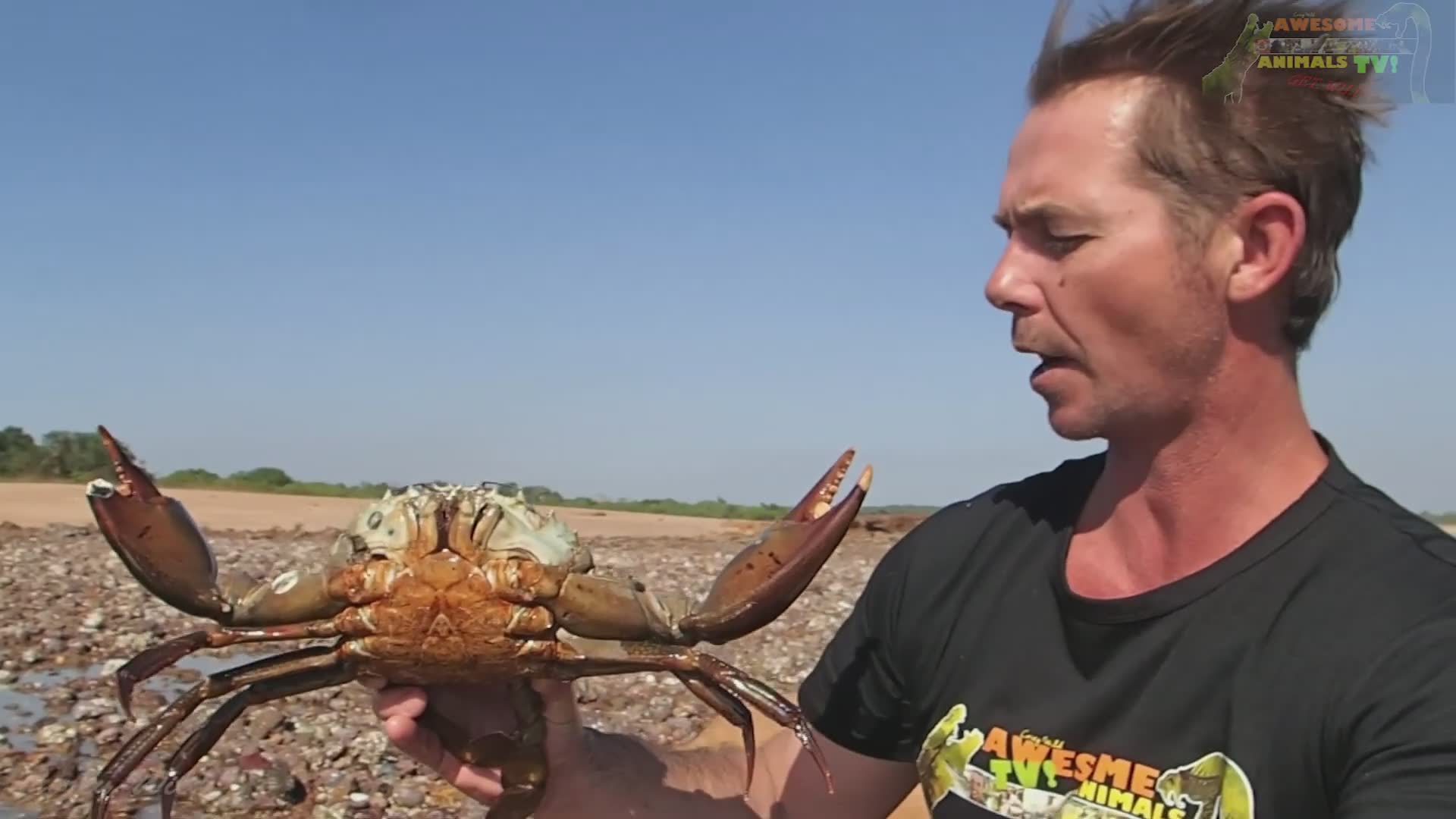 Catching monster-sized mud crabs and cooking them over an open flame in the wild