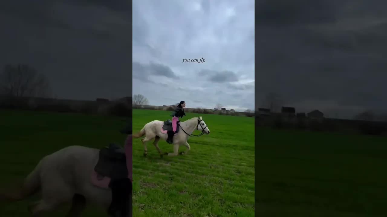 if you can dream, you can fly 🦄