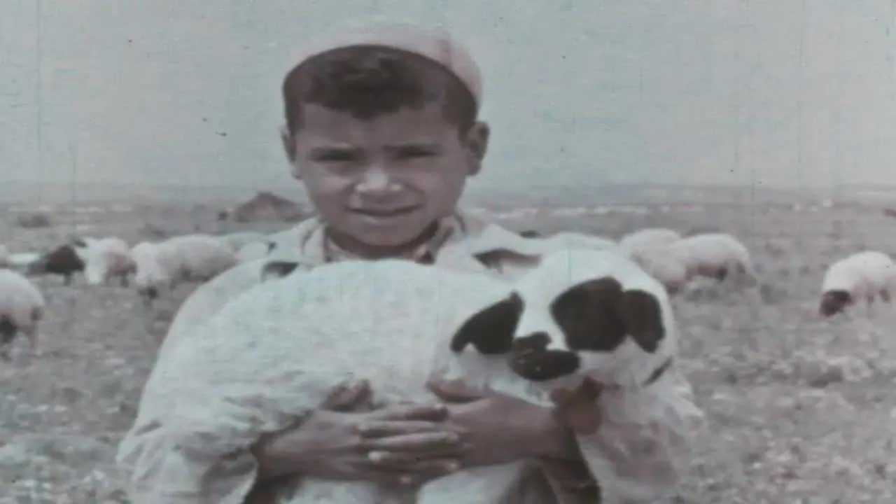 New North Africa (1964)