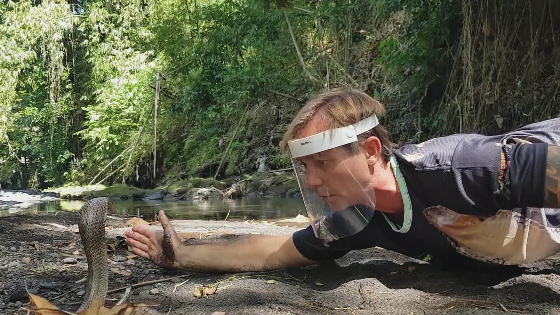 Witnessing deadly venomous snake species in the wild during field research