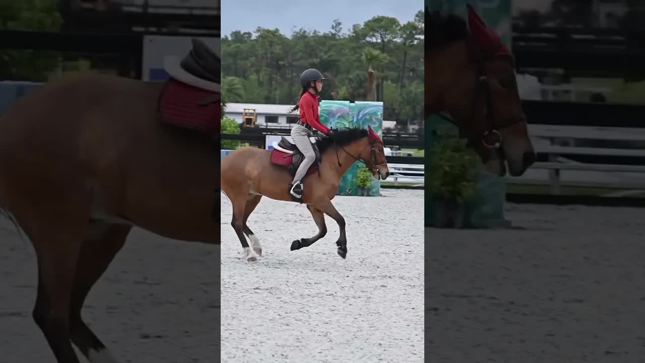 It’s amazing what you can do with patience, perseverance, and good drainage! 😂😃🐎🌧️
