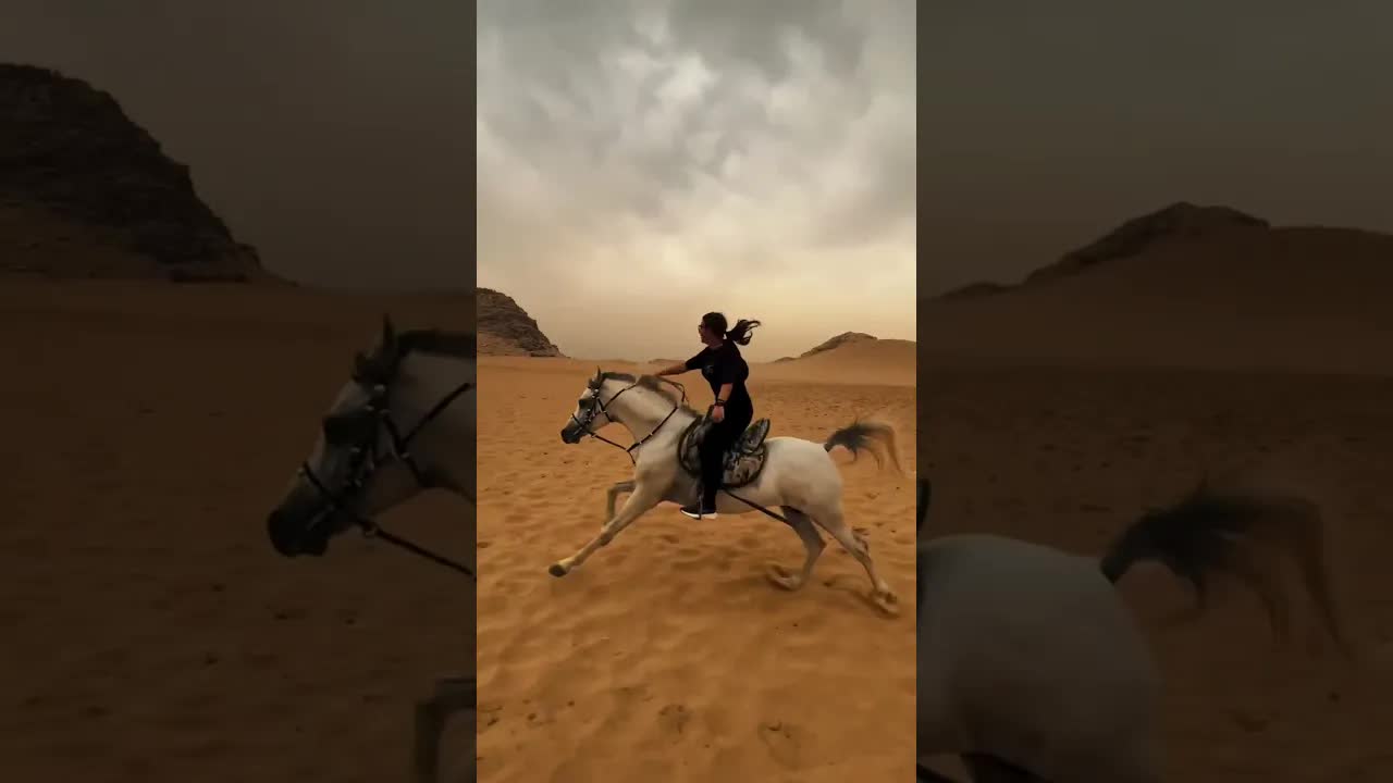 Riding a majestic Arabian young stallion in Cairo 🐎✨