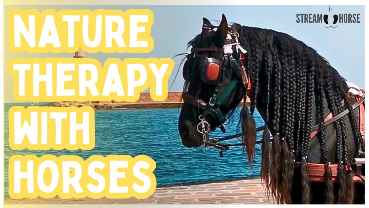 Nature Therapy with Horses 😁🐎🌿 10 Minutes of Calm & Presence