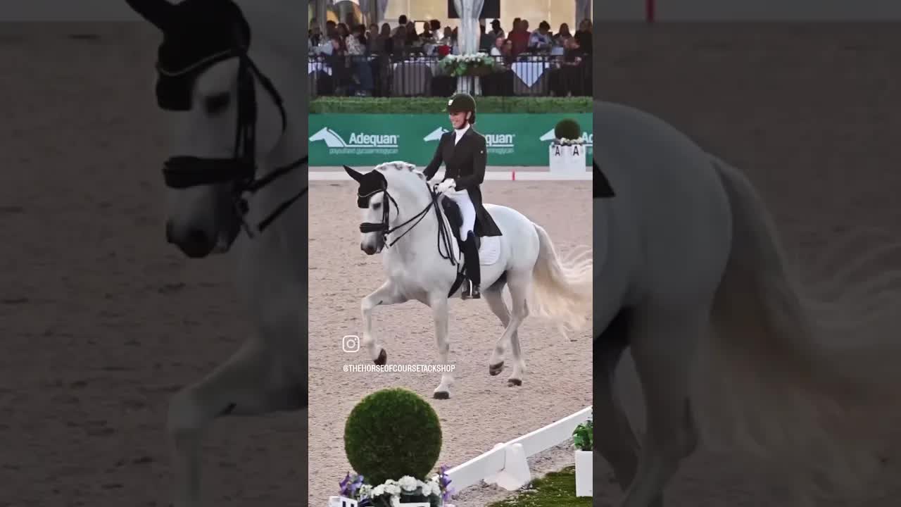 Alright stop 🛑 collaborate and listen 👂🏻 to this 🧊 inspired Freestyle!